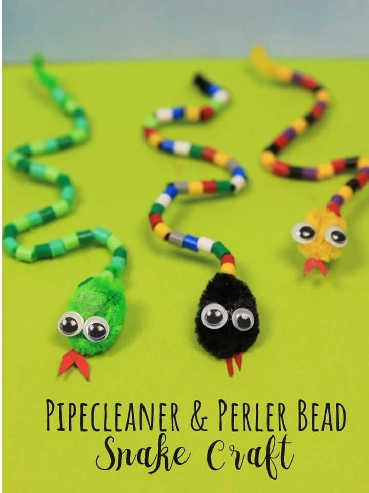 Pipe Cleaner & Bead Snake Craft