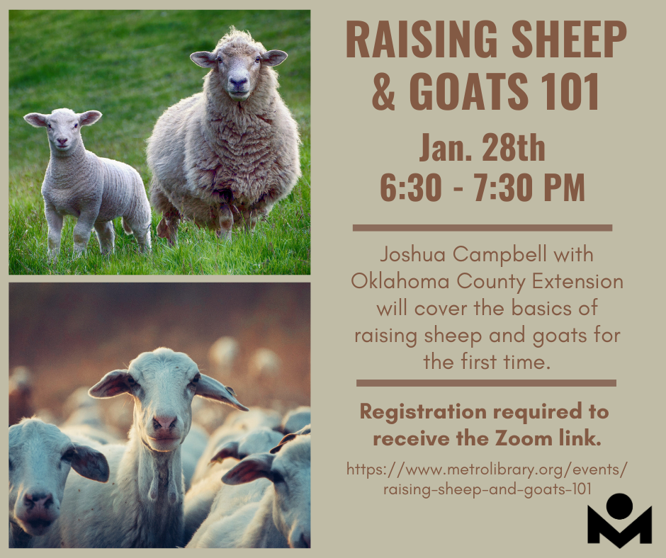 Raising Sheep & Goats 101 Flyer