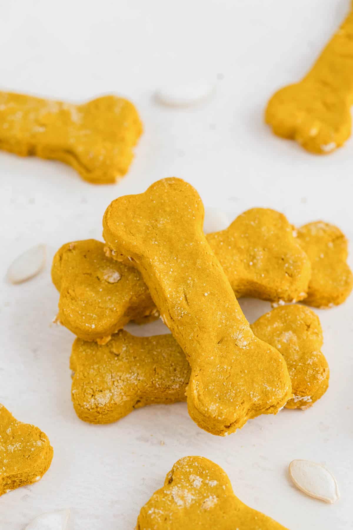 homemade baked dog treats in the shape of bones