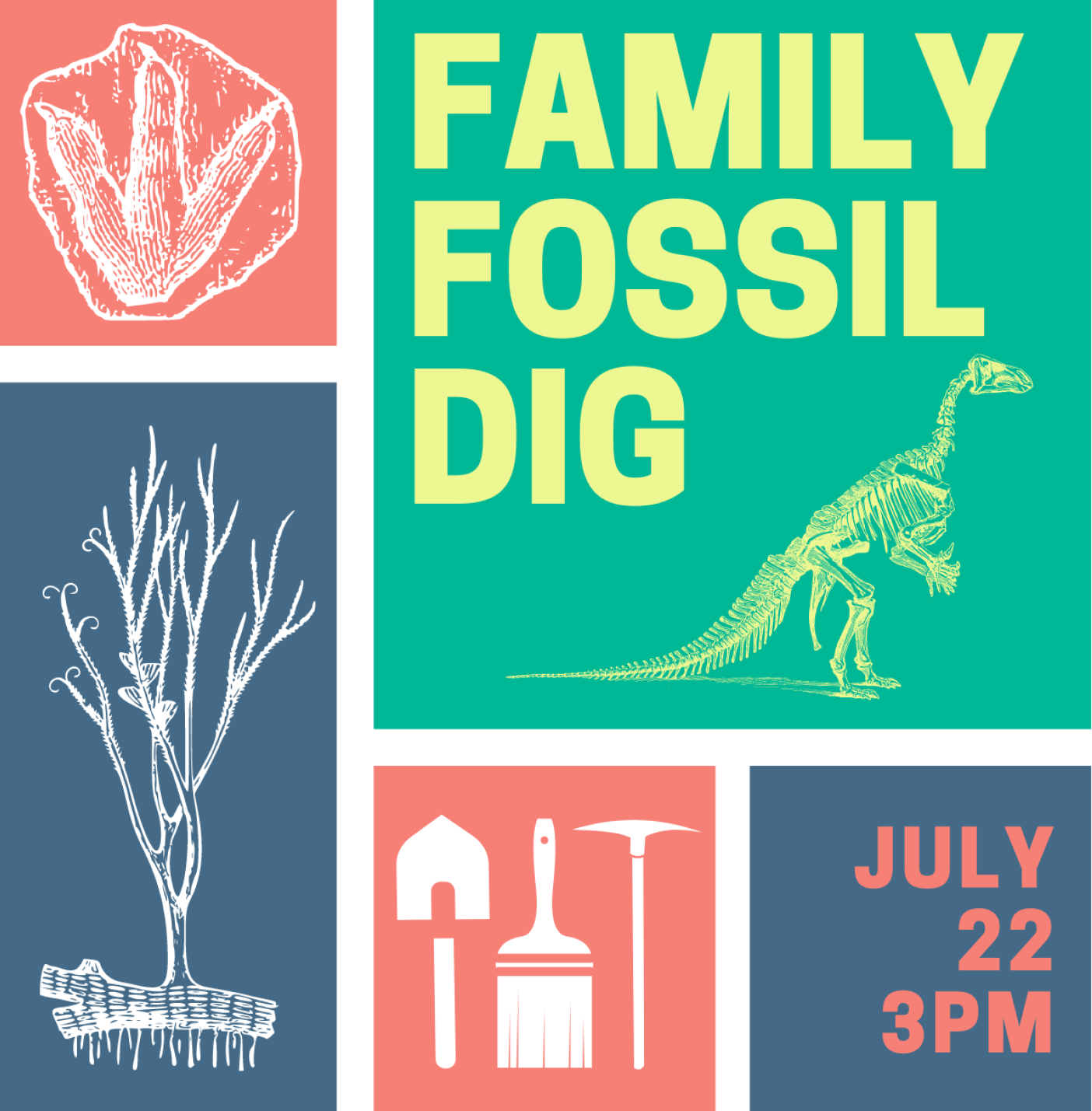 Family Fossil Dig