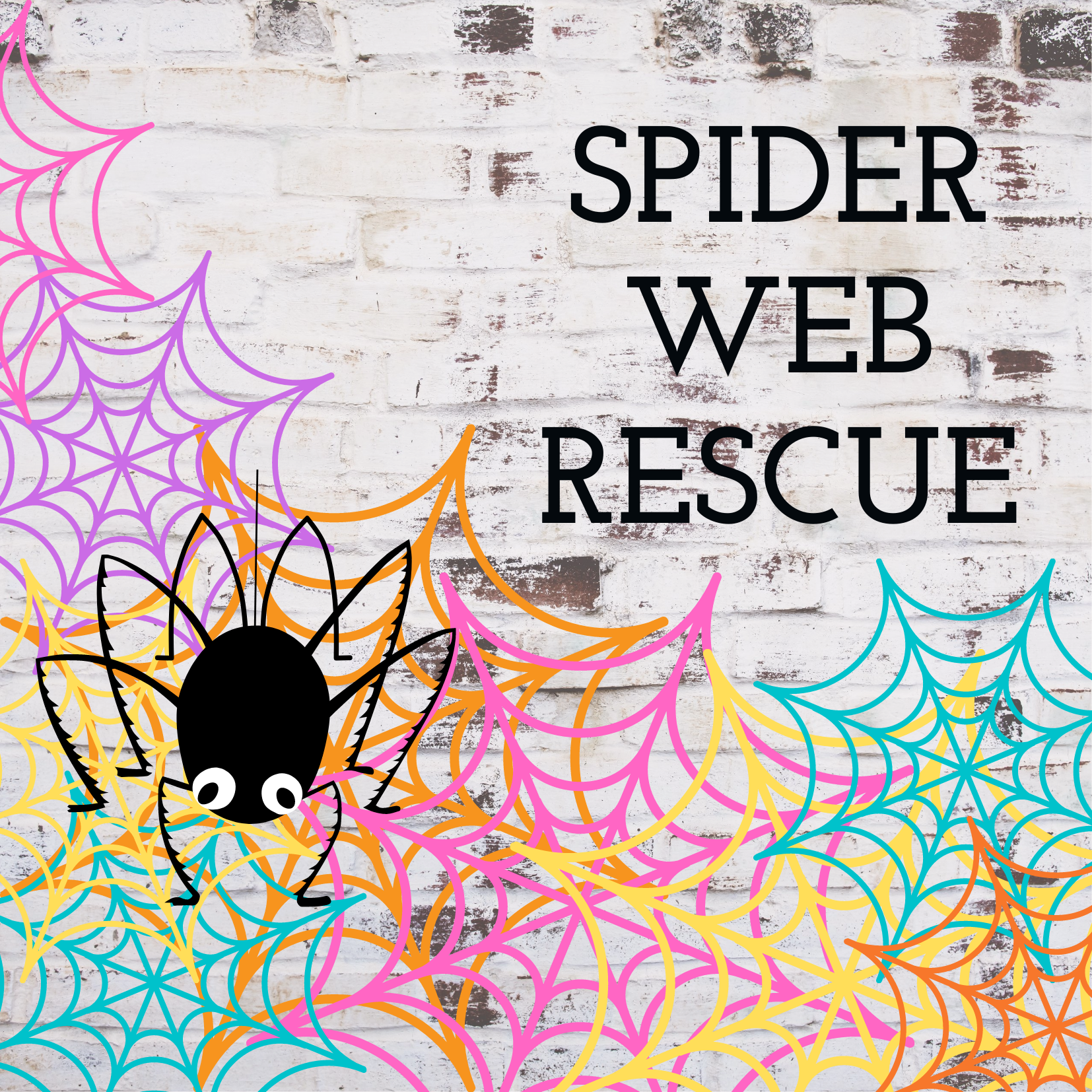 Spider Web Rescue