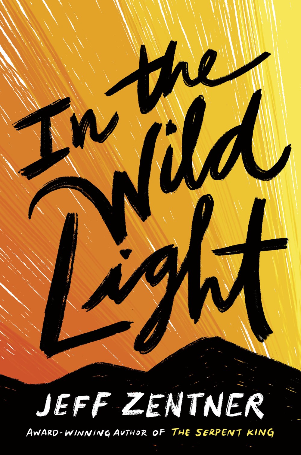Cover image for In the Wild Light by Jeff Zentner