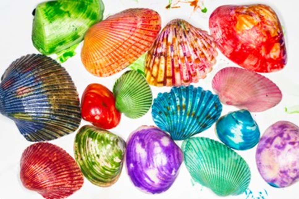 Seashells Painting Craft Example