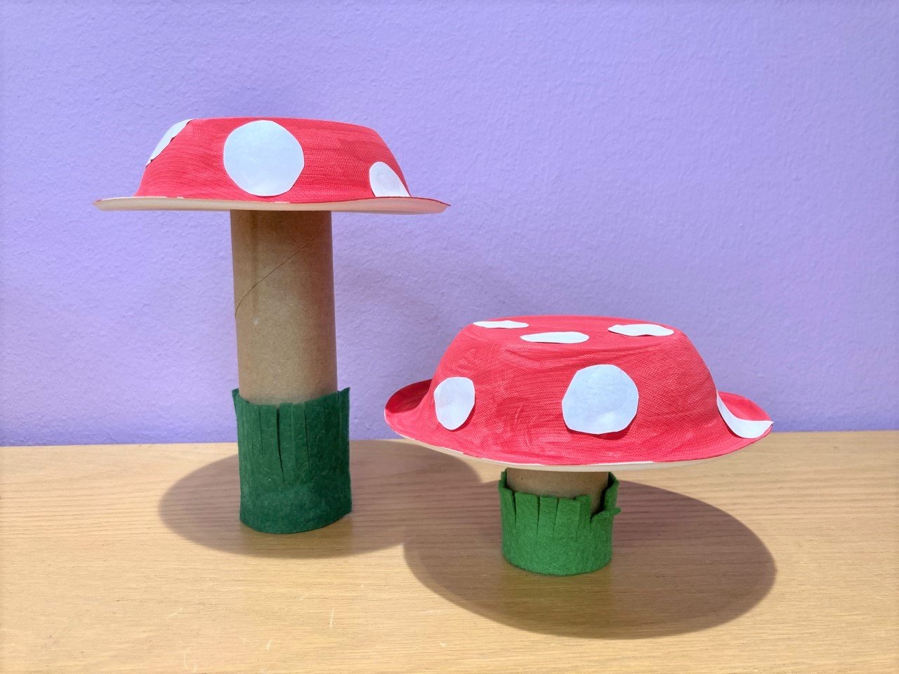 Mushroom Craft Pic