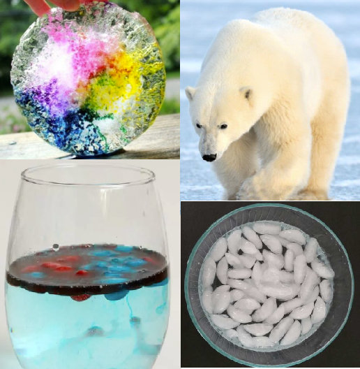 4 pictures - a circular block of ice with purple, blue, and yellow color inside; a clear glass cup with blue water and red ice cubes; polar bear; a bowl of ice cubes