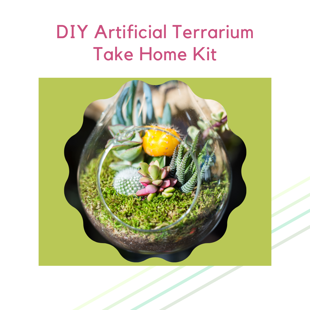D-I-Y Artificial Terrarium Take Home Kit