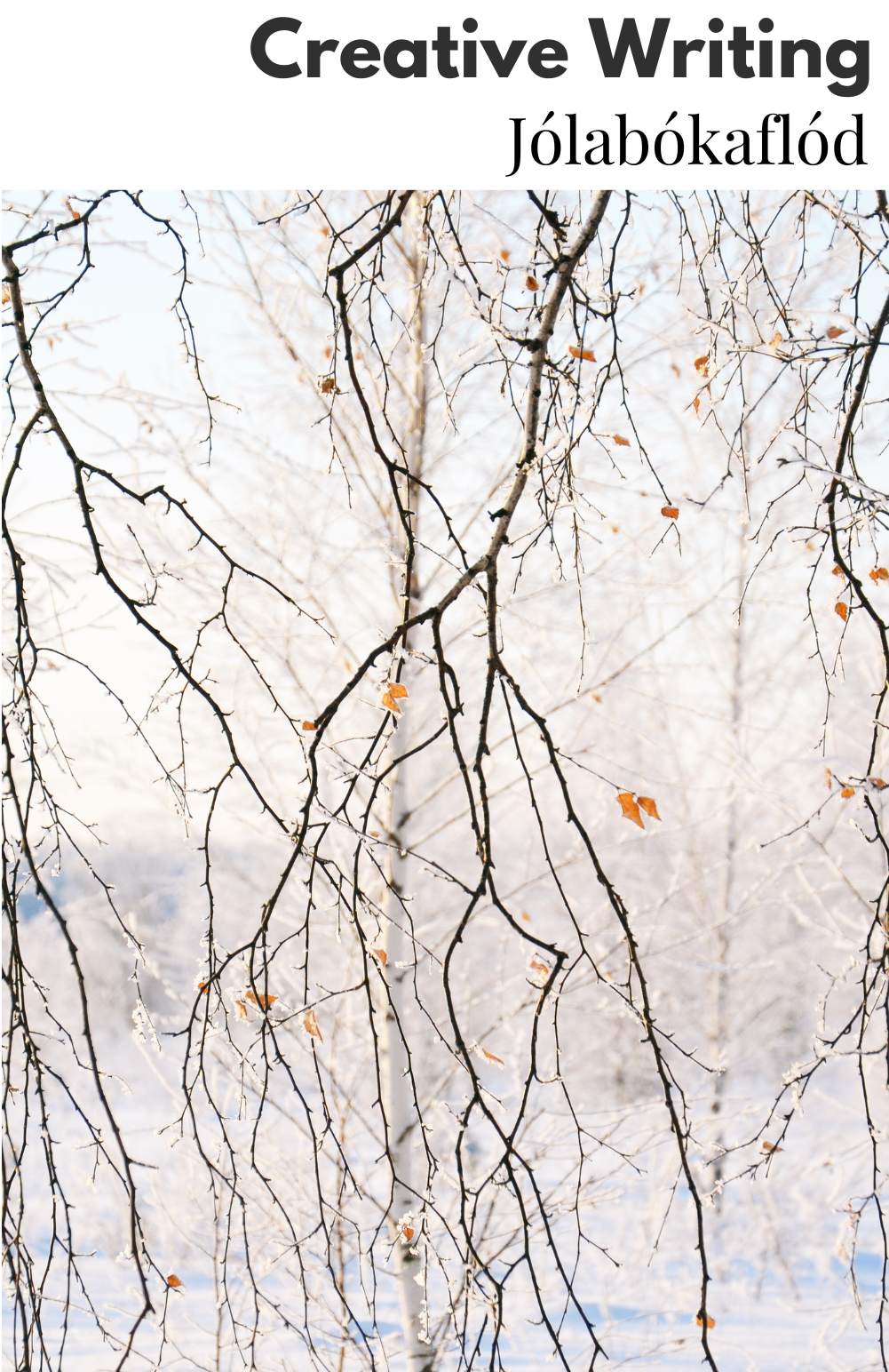 Image of bare birch branches hanging down on a bright and snowy day. 