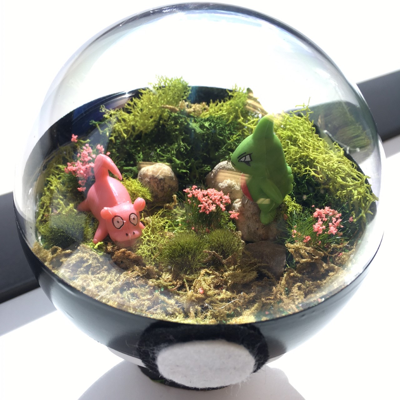 Pokemon Terrarium