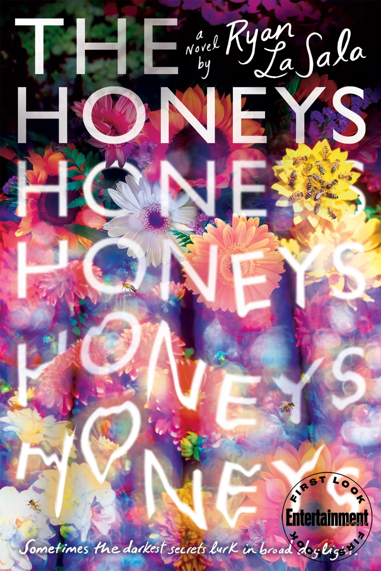 The Honeys book jacket