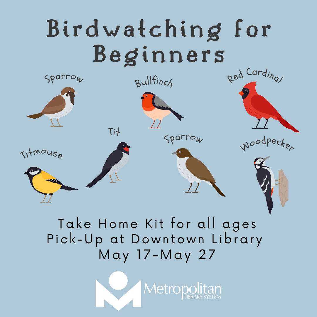 birdwatching for beginners