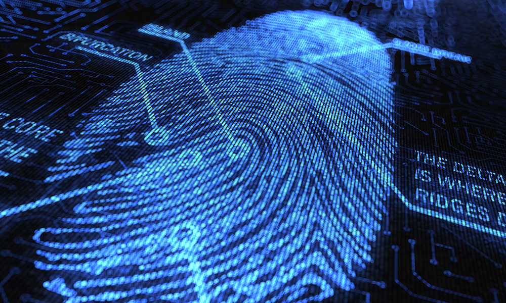 Fingerprint in blue light with labels indicating Galton details.