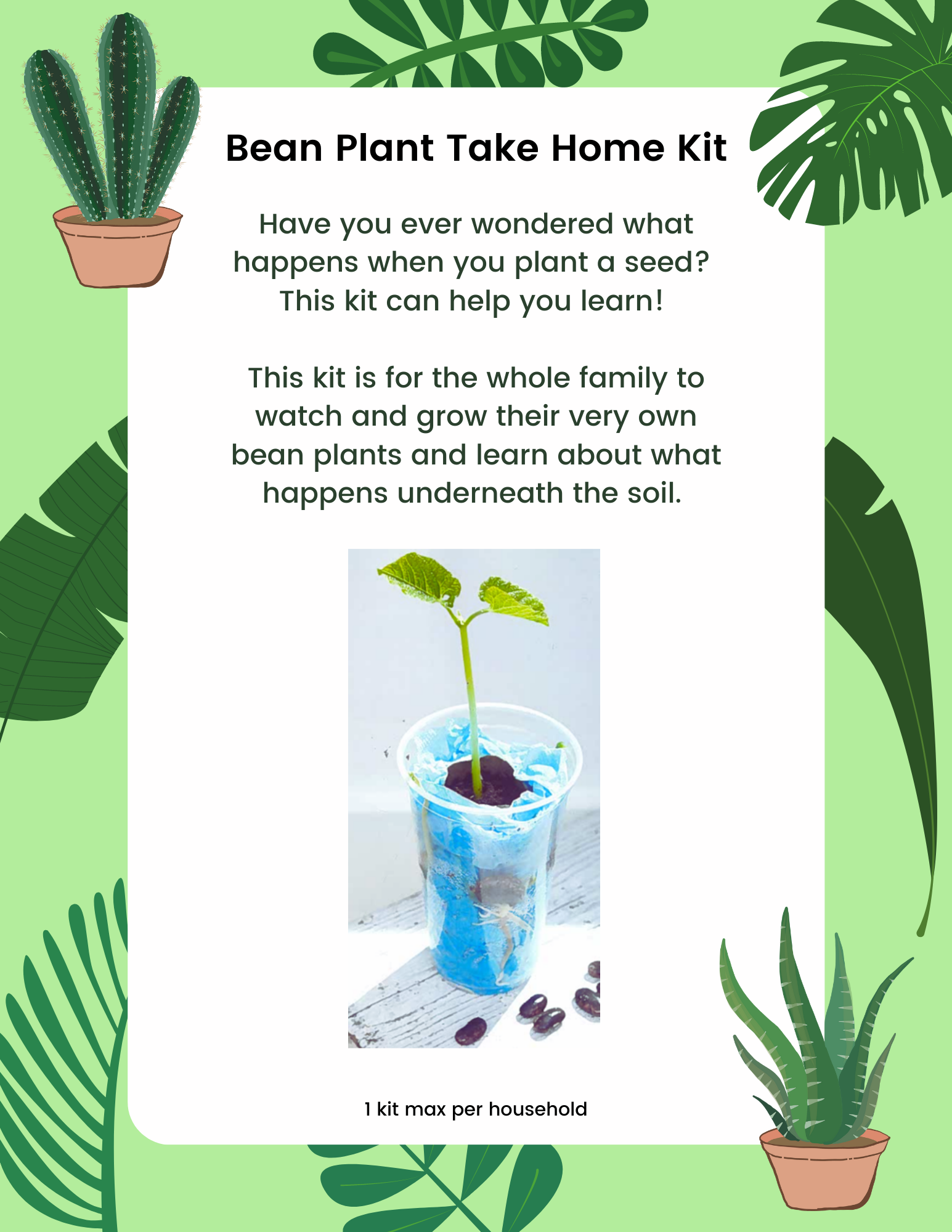 Bean Plant Observation