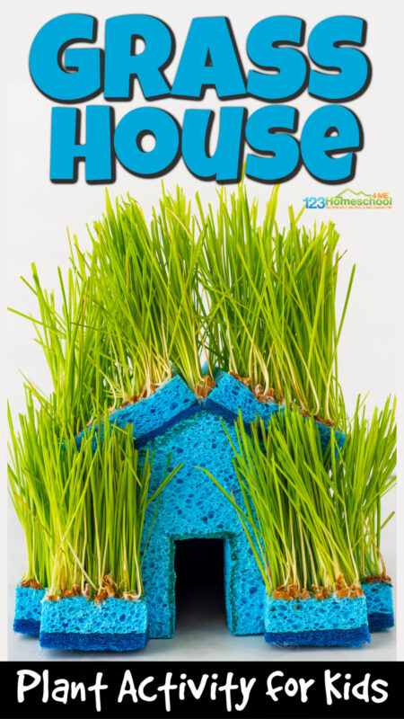 Grass house made out of sponges.