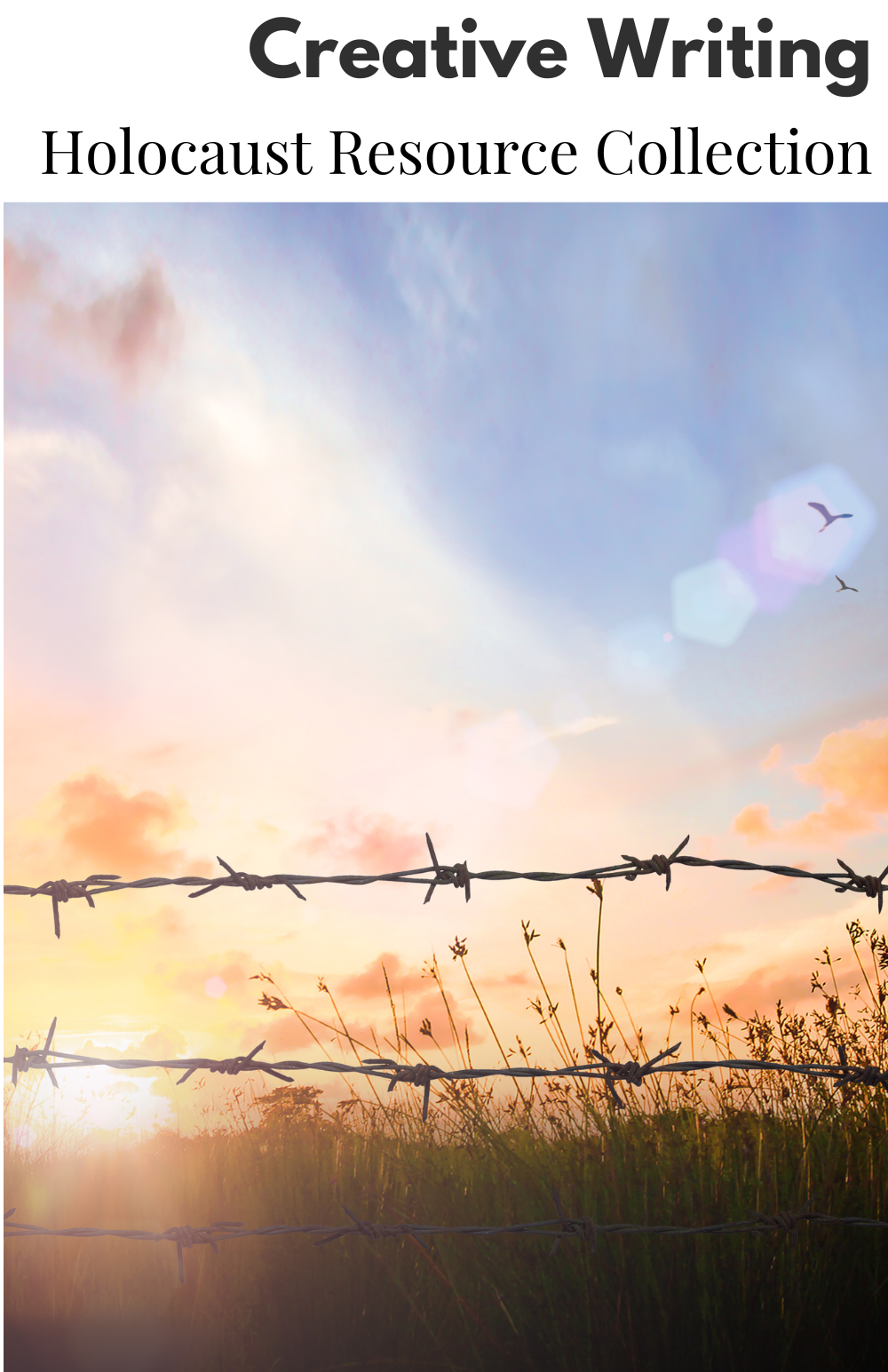 Picture of a sun setting over a field with two birds flying in the edge of the photo and barbed wire in the foreground. 