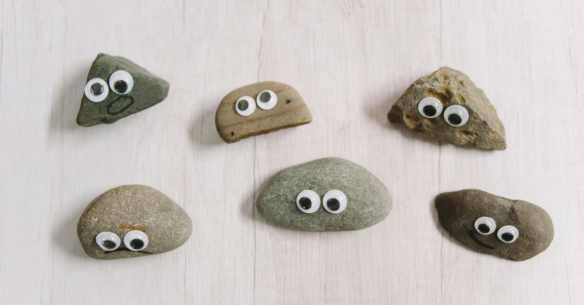 pet rocks