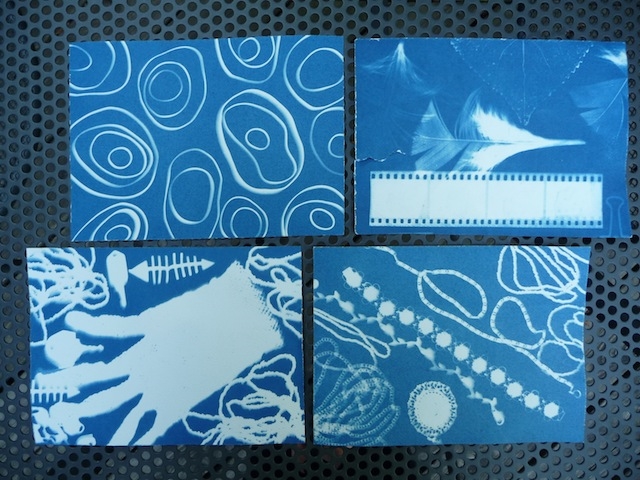 Four pages of cyanotypes. On the top left cyanotype, there are concentric circles. One the tope right cyanotype, a film strip along with imprints of leaves. One the bottom left, a glove along with yarn and small objects, such as keys. And on the bottom right, a cyanotype of bracelets and necklaces. 