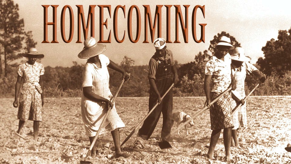 Homecoming: A Documentary on African American Farmers