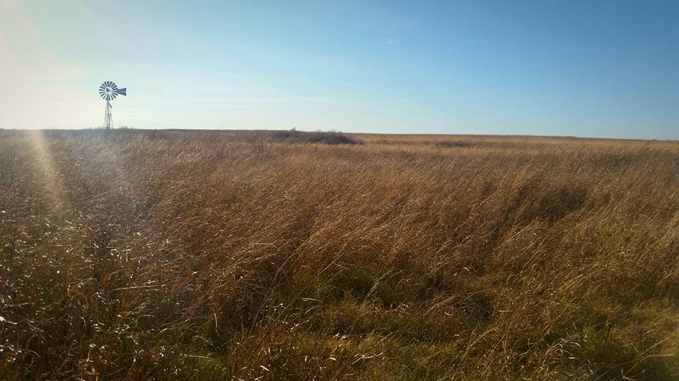 Windmill on the plains of Oklahoma