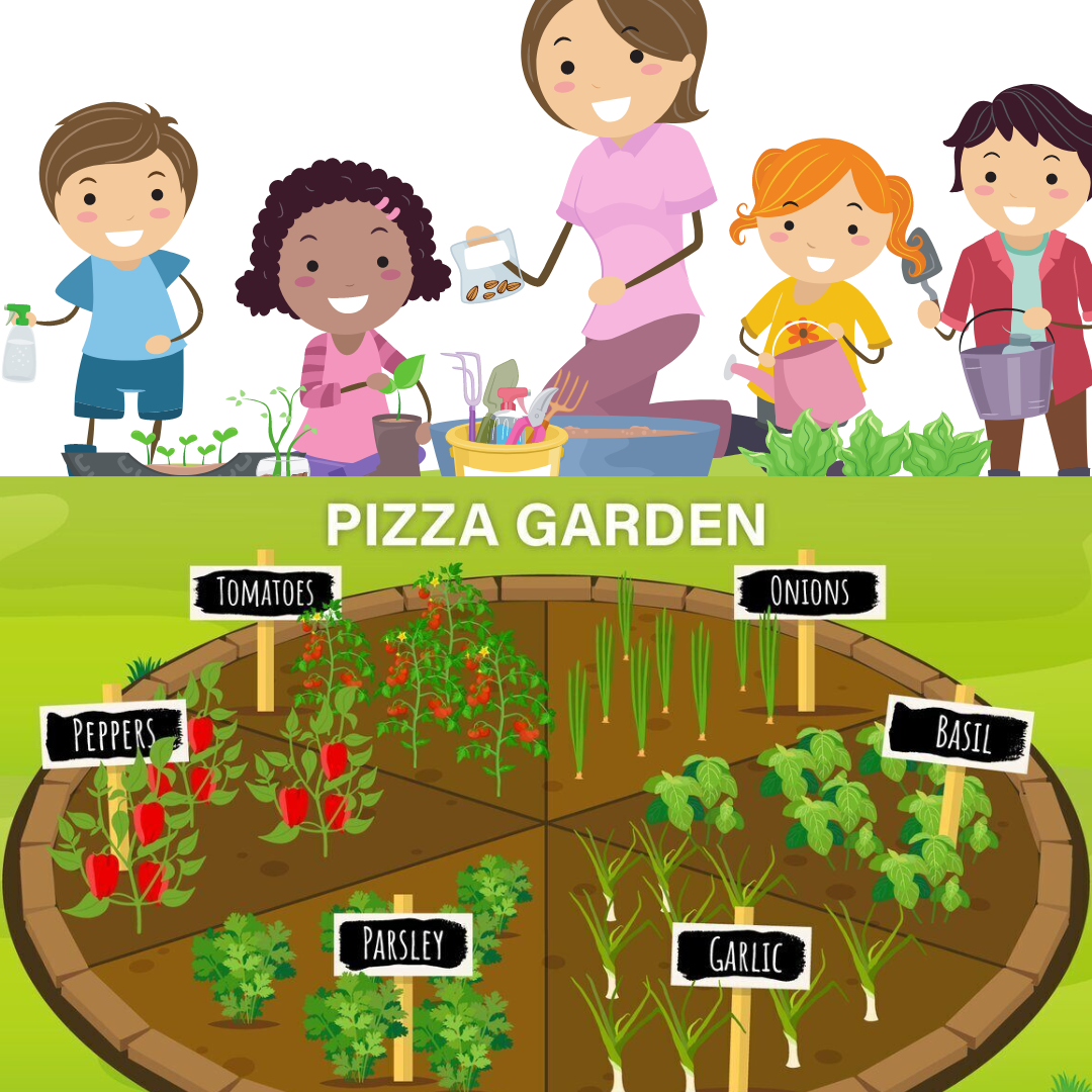 Children making a pizza garden.