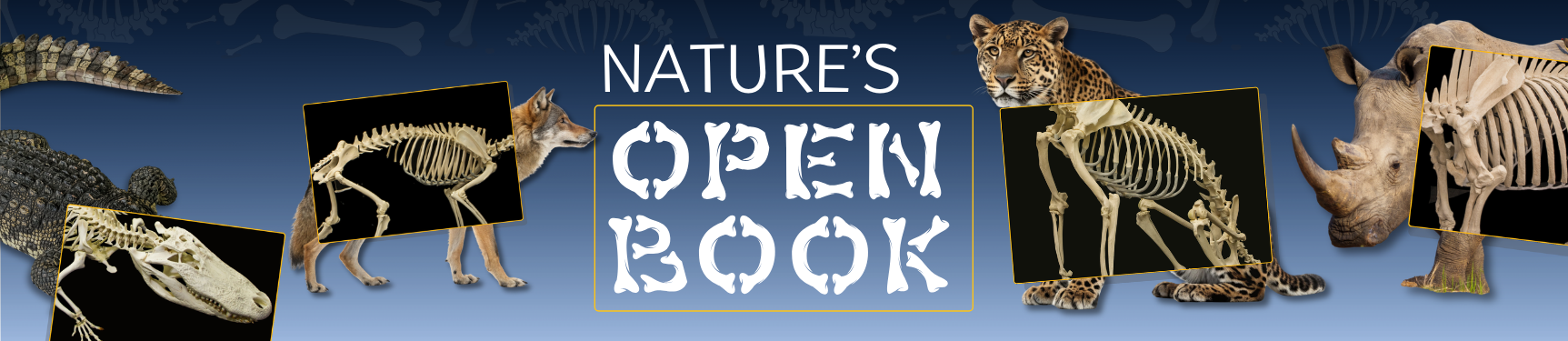 Collage of animal skeletons including alligator, wolf, leopard and rhino with the text 'Nature's Open Book' on a dark blue background.