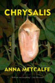 Cover image for Chrysalis