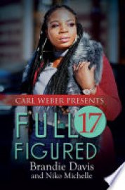 Cover image for Full Figured 17