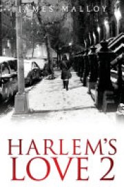 Cover image for Harlem's Love 2
