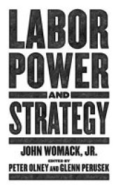 Cover image for Labor Power and Strategy