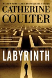 Cover image for Labyrinth