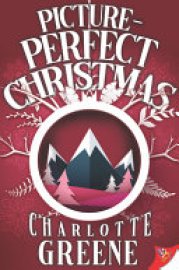 Cover image for Picture-Perfect Christmas