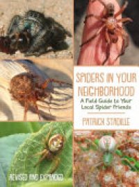 Cover image for Spiders in Your Neighborhood
