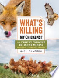Cover image for What's Killing My Chickens?