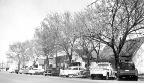 Trees and cars in Harrah, Oklahoma