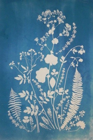 white floral/botanical prints on blue sun paper