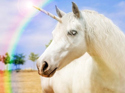 Unicorn under a rainbow