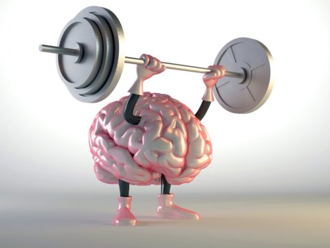 image of brain lifting weights