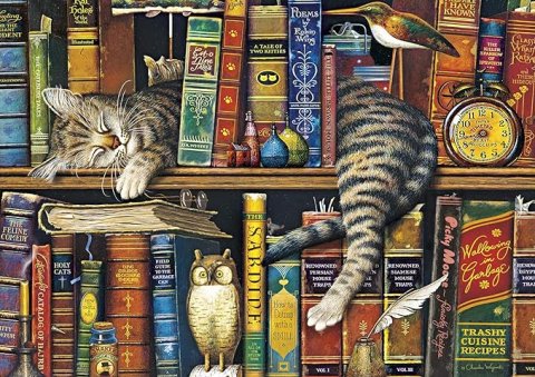 Library cat