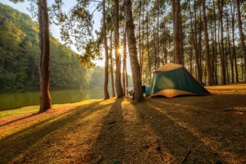 An image of a tent in the woods with the sun shining through the trees.