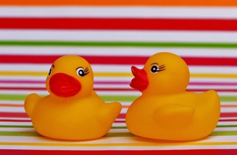 Two rubber ducks on a striped background