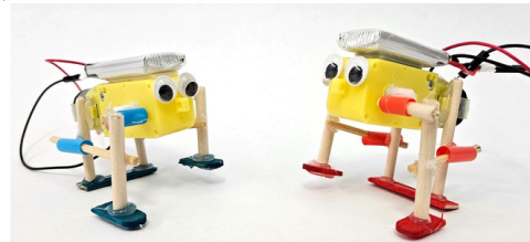 Walking Robots