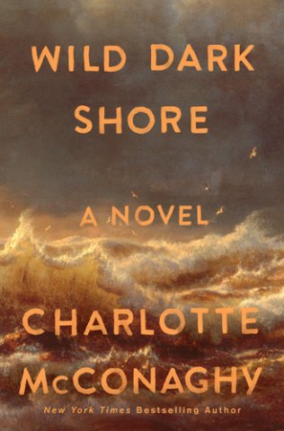 Wild Dark Shore Novel Cover