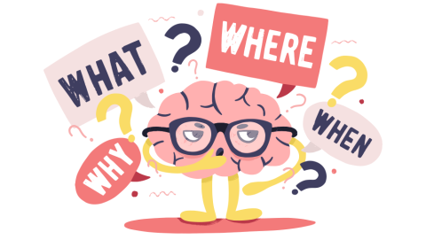 brain asking questions