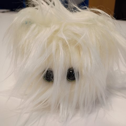 Stress Pet