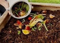 picture of composting
