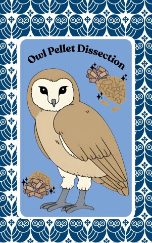 owl pellet