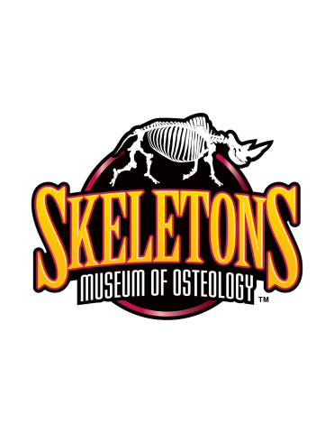 Logo featuring A skeleton animal on top of text in yellow and white, Skeletons Museum of Osteology