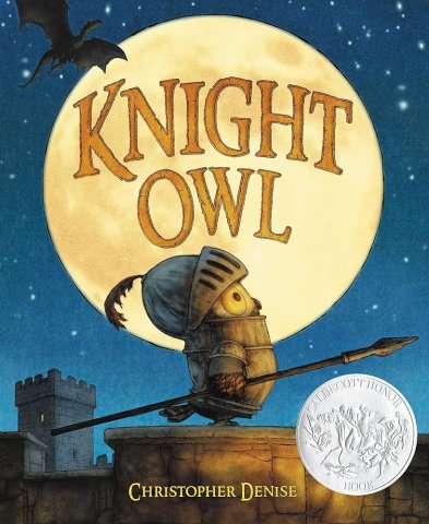 Book cover of Knight Owl
