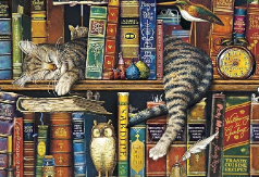 Cat in books
