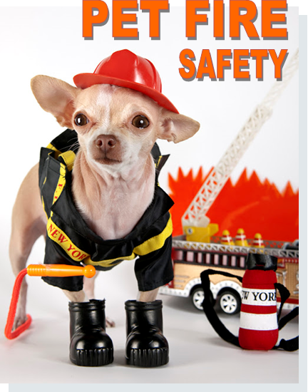 Pet Fire Safety