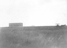Open Field